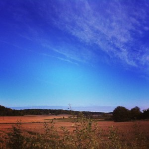 4C0DE23B-67A6-40D2-8DE7-639700C2E35A