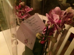 She believed she could. So she did. Minst två av besökarna hade läst min blogg. Tack Åsa och Anders fört kort, choklad och vacker blomma!