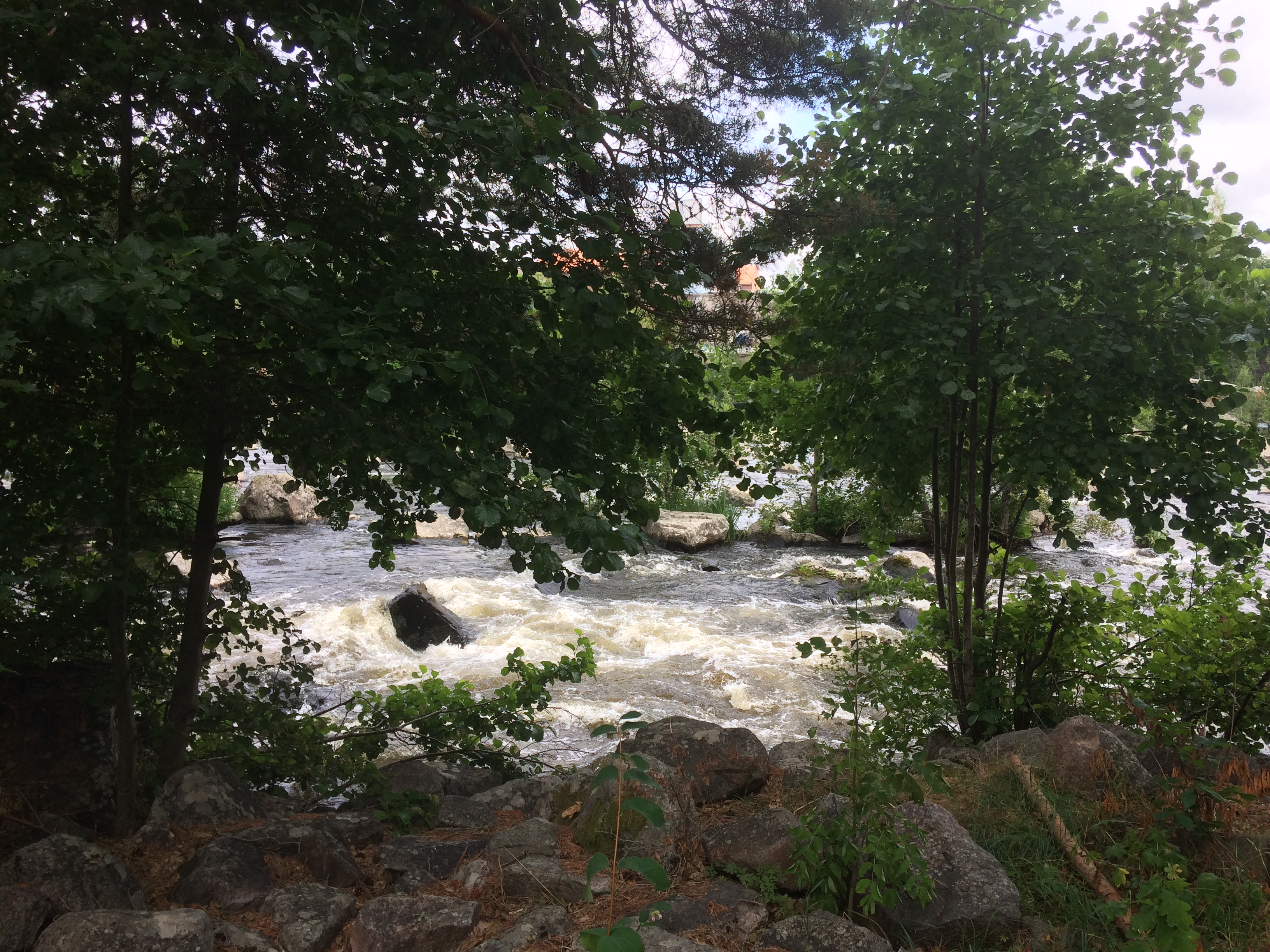 Dalalven6viddansbana